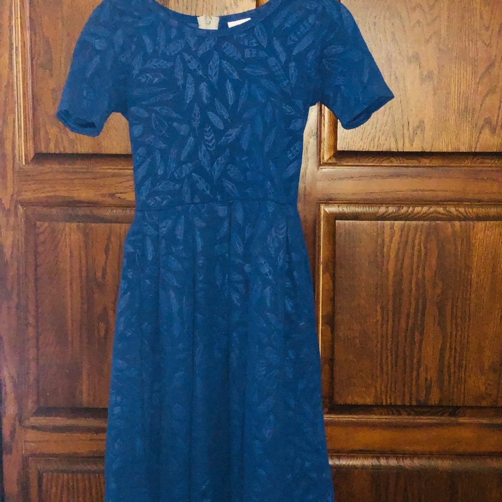 Never worn, LulaRoe XS Amelia Dress